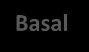Correction Basal Bolus (Nutritional)
