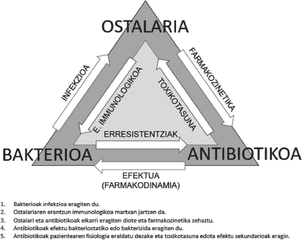 Analisi farmakozinetiko/farmakodinamikoa antimikrobianoen erabilera hobetzeko gaixo larrietan 1. irudia. Ostalarien, mikroorganismoen eta antibiotikoaren arteko elkarrekintzak.