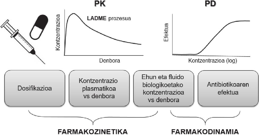 Analisi farmakozinetiko/farmakodinamikoa antimikrobianoen erabilera hobetzeko gaixo larrietan PDa medikamentuaren kontzentrazioaren menpe dagoenez, eta kontzentrazioa farmakoaren PK-k baldintzatzen
