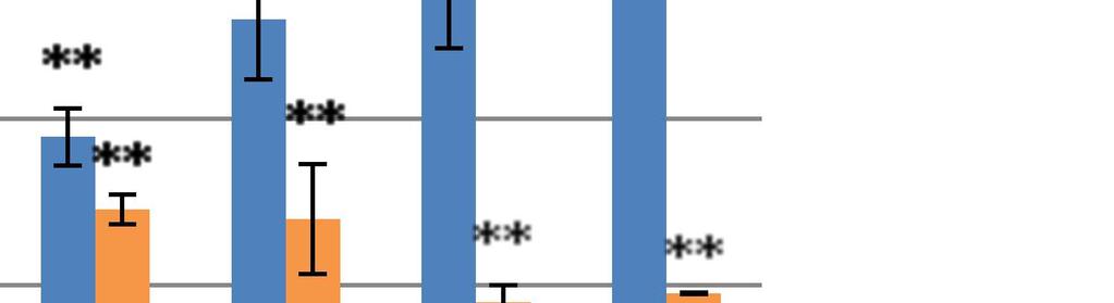 4.2.2 Izražanje gena rgc-32 po modulaciji proteasomske aktivnosti 1,4 Relativno izražanje glede na netretirane celice 1,2 1 0,8 0,6 0,4 0,2 0 K 6h 1h 2h 6h 9h 16h 24h Spojina 15 (50 μm) Bortezomib (5