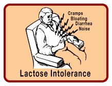 Vitamins and Minerals Lactose intolerance is the inability to digest significant amounts of lactose, the predominant sugar of milk.