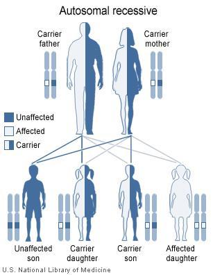 Autosomal Recessive The disease appears in male and