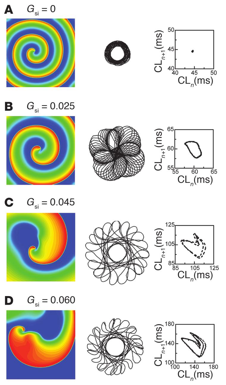 research article Figure 2 Spiral wave behaviors as a function of the maximum conductance of the slow inward calcium current (G si) in homogeneous isotropic 2D cardiac tissue (10 10 cm 2 ).