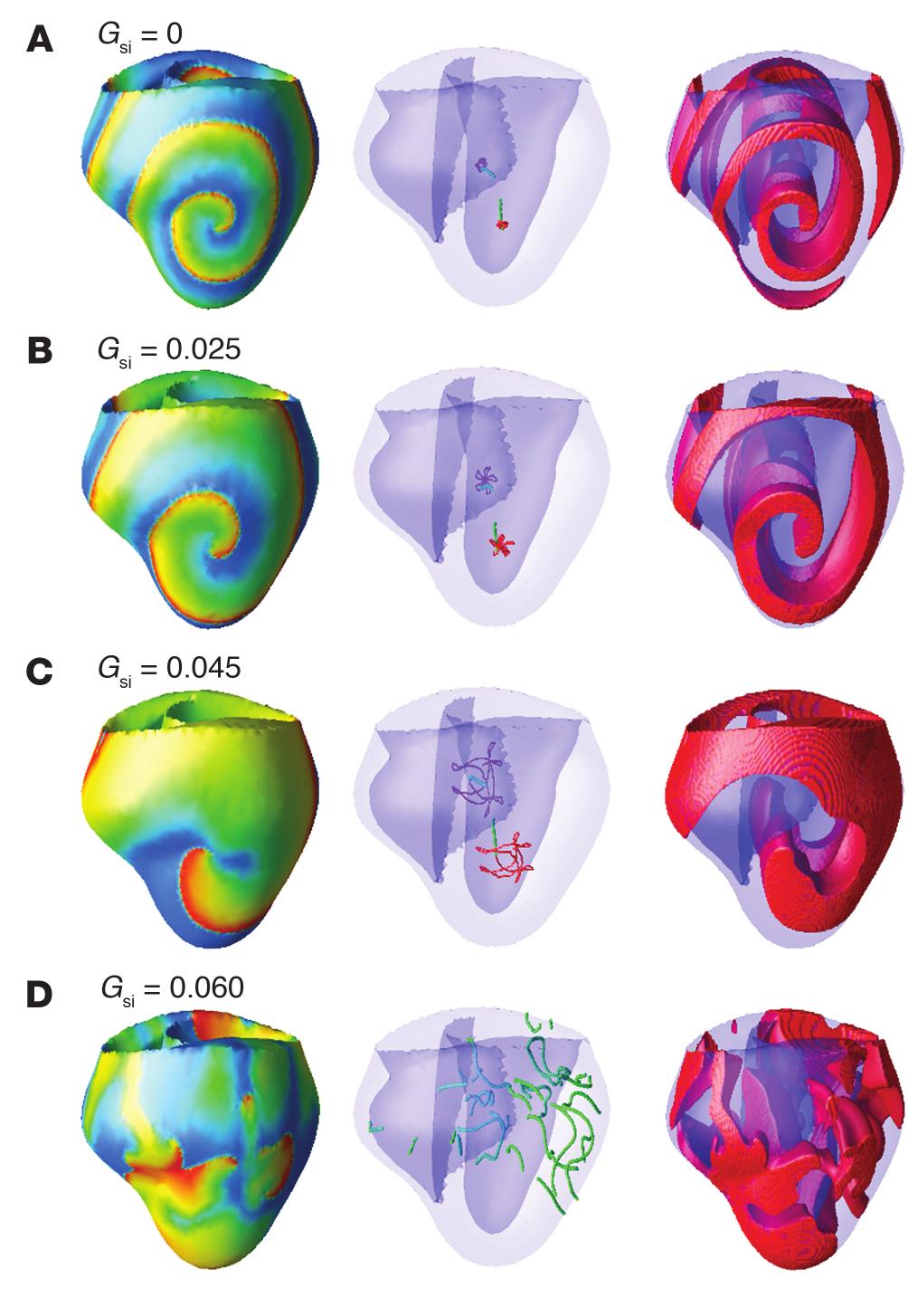 research article Figure 4 Scroll wave dynamics in canine ventricular geometry with homogeneous and isotropic tissue, for APD restitution curves corresponding to those in Figure 3.