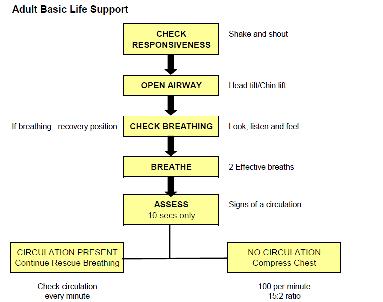 Table 2: Flow chart for basic life support Emergency drugs and equipment 1,13,15,16 These must be available in every dental office. It should be as simple as possible to use.