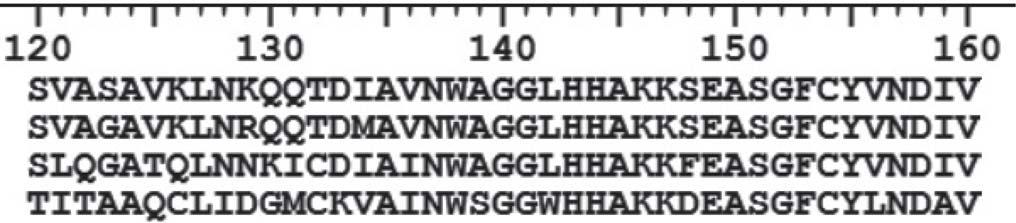 A : 117 HDAC2: 118 : 111 HDAC8: 119 B Conserved motif selected for mutagenesis 4 x 10 5 Relative light uinit 3 x 10 5 2 x 10 5 10 5 0 Control (No ) Mut + SAHA Mut + SAHA Figure S4.