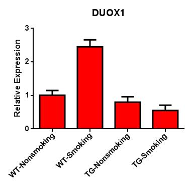 Exposure Pro-oxidant: DUOX1