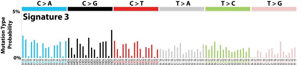 Lessons Learnt from the TCGA Data Signatures of somatic mutations across tumors: BRCAness BRCAness Substantial numbers of large deletions