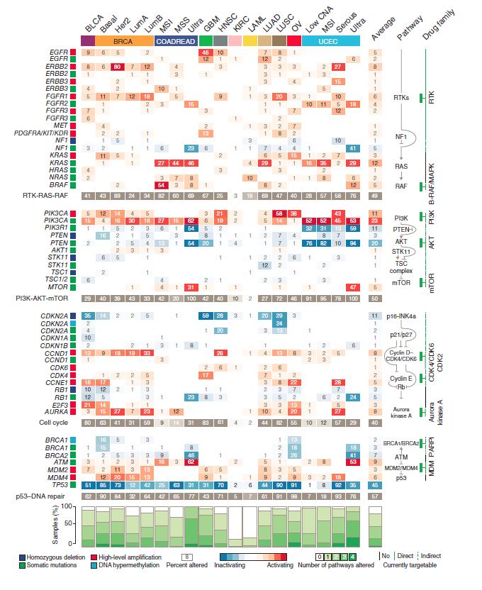 Lessons Learnt from the TCGA Data Driver somatic mutations across human cancer types may be linked to cellular processes and