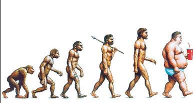 THE EVOLUTION OF MAN