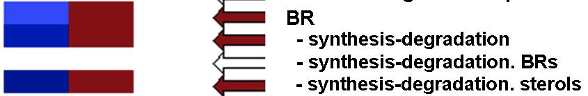 Brssinosteroids (BRs) RNA-seq dt: lue = significnt up-regultion, red = significnt down-regultion, white = no significnt chnge JU/PE MA/JU Reltive Gene Expression 3 2 1 RT-qPCR dt: -P_PE -P_JU -P_MA