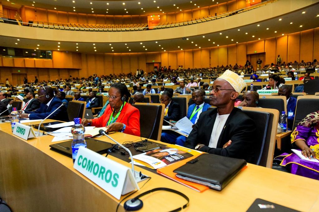 AFRICA: Highest level support to Universal Vaccination African Union Summit endorses the Declaration on Universal Access to