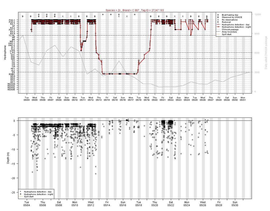 Fig. 6. Acoustic telemetry data from California sea lion C667.