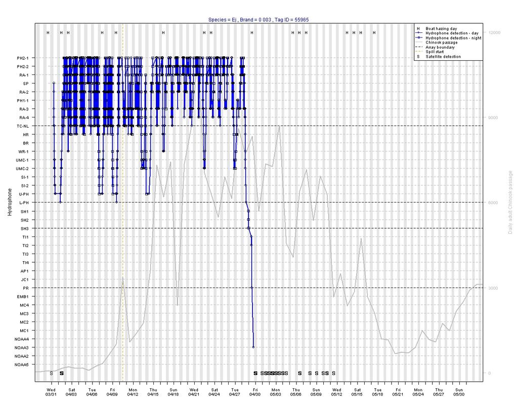 Fig. 12. Acoustic telemetry data from Steller sea lion 0-003.