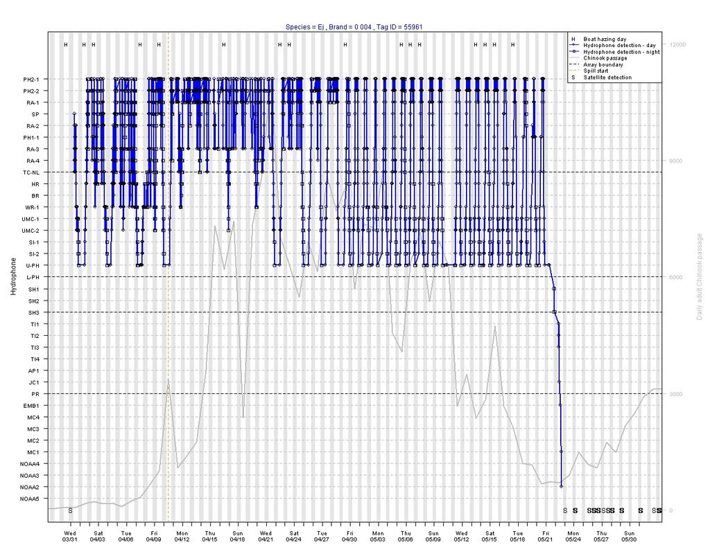 Fig. 14. Acoustic telemetry data from Steller sea lion 0-004.
