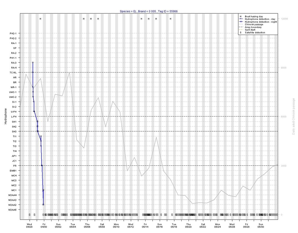 Fig. 16. Acoustic telemetry data from Steller sea lion 0-005.