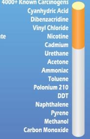 authorization of new tobacco products by the FDA Reporting ingredients, and