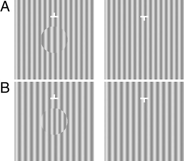 Fig. 3. MBC spatial-frequency-difference stimuli used in Experiment 3. The spatial frequency difference between the disc grating and the corresponding grating in the other half-image [3.5 cpd vs.