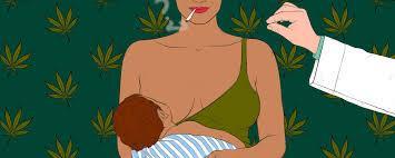 MARIJUANA AND BREASTFEEDING Baker et al. (2018) enrolled mothers who regularly smoked pot, were 2 5 months postpartum, and exclusively breastfeeding their infants. Mothers smoked 0.