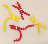 Mini Investigation Modelling Meiosis Skills Menu: Performing, Observing, Analyzing, Communicating In this activity, you will use pop-it beads to represent homologous chromosomes and to model the key