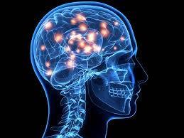 Impact of vitamins & nutrients on neurological function