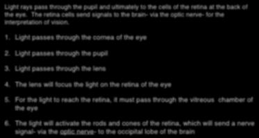 Pathway of Light into the Eyes " " (pg. 481/482 fig. 12.23/12.25 & pg. 484 fig. 12.26) Light rays pass through the pupil and ultimately to the cells of the retina at the back of the eye.