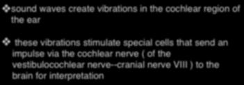 Hearing sound waves create vibrations in the cochlear region of the ear these vibrations stimulate special cells that