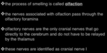 Smell the process of smelling is called olfaction the nerves associated with olfaction pass through the olfactory foramina olfactory nerves are
