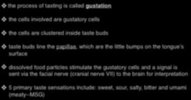 Taste the process of tasting is called gustation the cells involved are gustatory cells the cells are clustered inside taste buds taste buds line the papillae, which are the little bumps on the