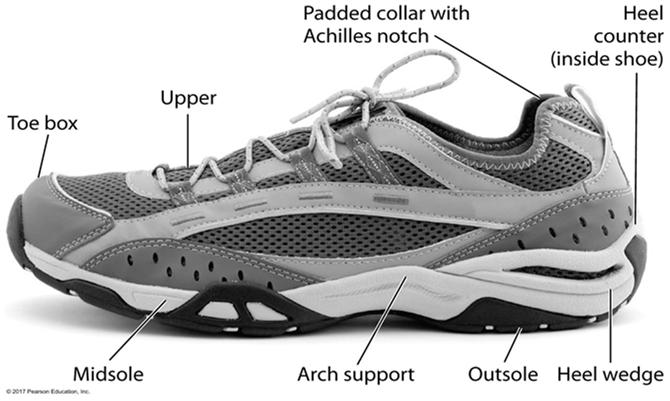 anatomy of a running shoe 12 th edition, p. 347-8; 11 th edition, p. 348 (table 11.7); how to buy a running shoe 12 th and 11 th edition, p.