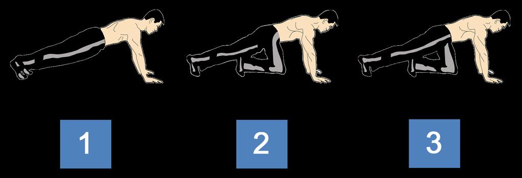 Exercise 5 Mountain Climbers Main Muscle Groups Worked Upper Back Chest Hips Lower Back Biceps Quadriceps Latissimus Dorsi Triceps Gluteus Maximu s Shoulders Forearms Hamstrings Abdominals Calves