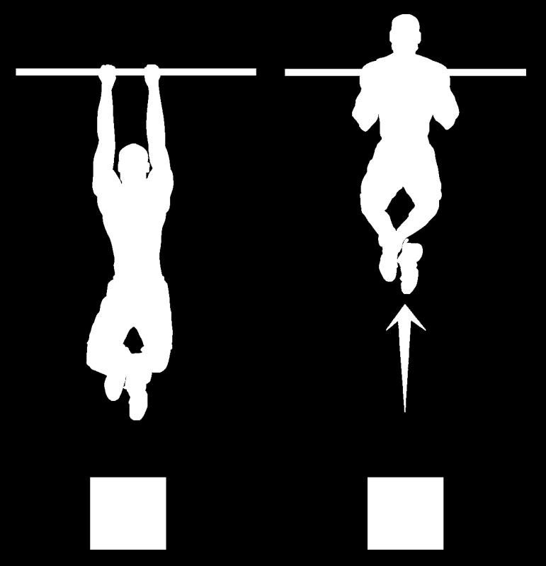 Exercise 2 Chin Ups Main Muscle Groups Worked Upper Back Chest Hips Lower Back Biceps Quadriceps Latissimus Dorsi Triceps Gluteus Maximus Shoulders Forearms Hamstrings Abdominals Calves Obliques