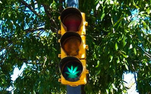 Potential Risks of Cannabis Public Safety: Psychomotor Impairment Driving 2-6x more likely to be in an