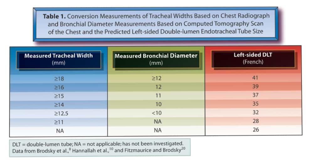 Conversion Measurements of Tracheal Widths Based on Chest Radiograph and Bronchial Diameter Measurements