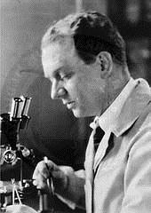 Oncogenes were first identified in cancer-causing retroviruses Francis Peyton Rous an American medical researcher, proved that