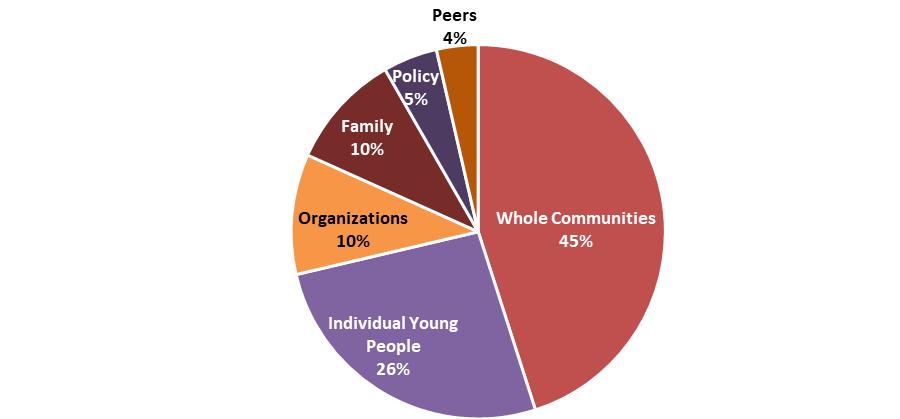 Findings From the Evaluation Partnerships for Success Most community subrecipients (81%) implemented at least one intervention-service type activity that targeted the whole community.