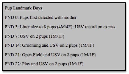 Figure 2, Testing Schedule on Pups Outline of the behavioral tests, USVs, and Blood Serum test dates. Play Behavior was performed on PND 22.