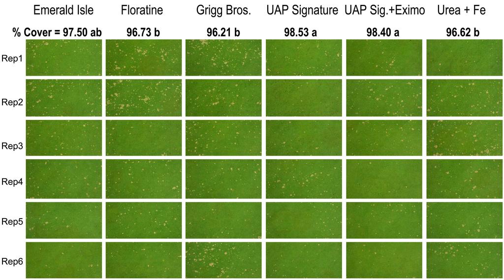 2007 Creeping Bentgrass Putting Green Liquid Fertilizers Field Trial Figure 6. Digital images of originally-randomized Penn A4 creeping bentgrass putting green plots (n=36), collected Sept. 10, 2007.