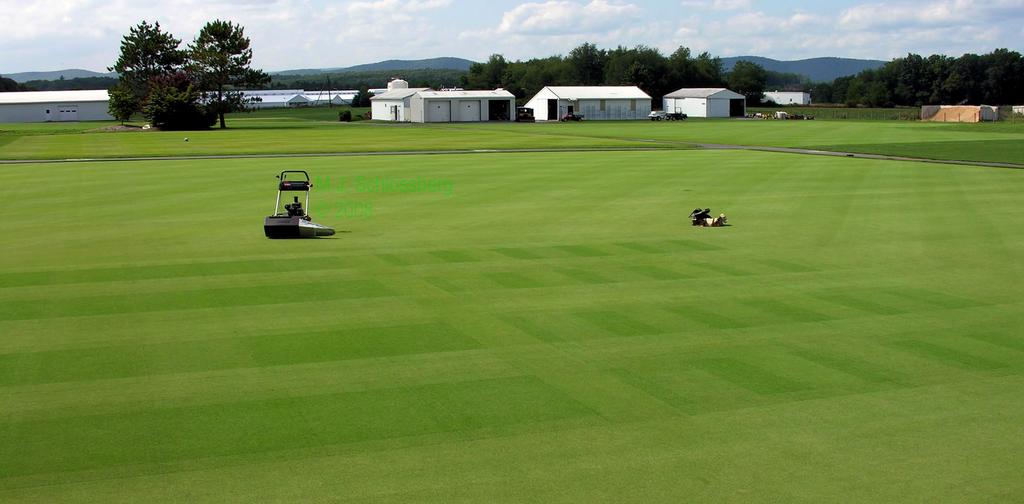 2007 Creeping Bentgrass Putting Green Liquid Fertilizers Field Trial Disclaimer: Trade and/or manufacturer s names mentioned in this report are for information only and do not constitute endorsement,