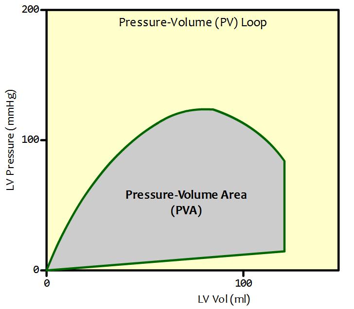 Calculating Total Pressure Volume Area The combined areas of SW and PE is equal to Pressure Volume Area (PVA) Larger