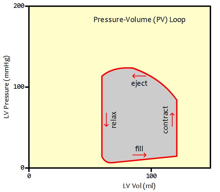 Calculating Total Pressure Volume Area The PV