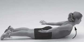 Core Stabilization Training O Core refers to the lumbo-pelvic-hip complex O 29 muscles in the lumbar spine,