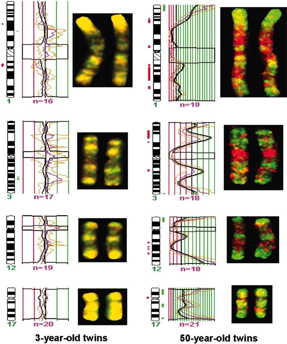 Many chromosomal regions show differential DNA methylation