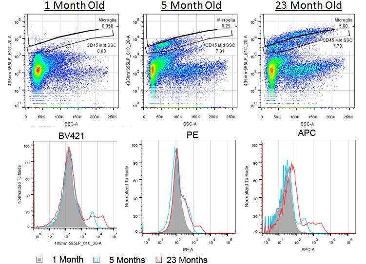 Supplemental Figure 5: Representative flow cytometry plots showing increases of autofluorescence with age.