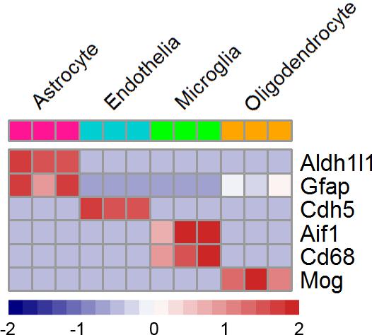 Supplemental Figure 6: Heatmap comprised of relative expression qrt-pcr data from FACS sorted