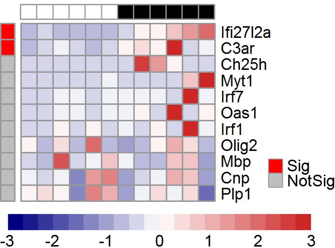 Oligodendrocytes WT APP KI Supplemental Figure 7: Heatmap of qrt-pcr data from Concurrent Brain cell type Acquisition isolated