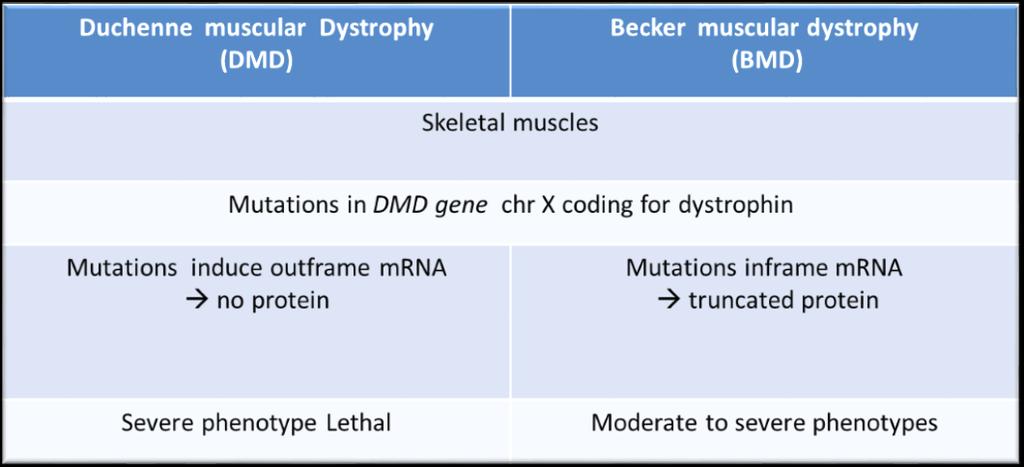 Alteration(s) in the DMD gene coding