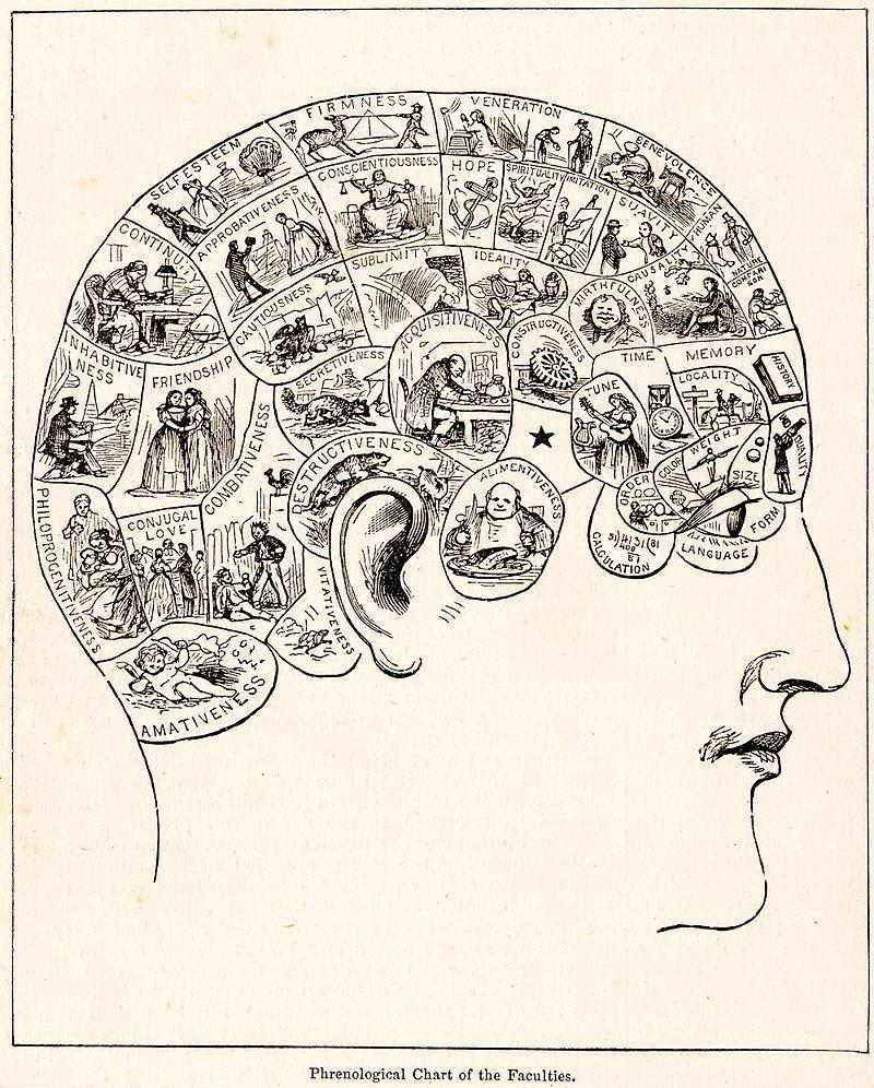 Introduction Phrenology is a pseudomedicine primarily focused on measurements of the human skull, based on the concept that the brain is the organ of the mind, and that certain