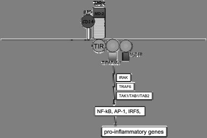 Generic model of signaling by all PRRs Receptor