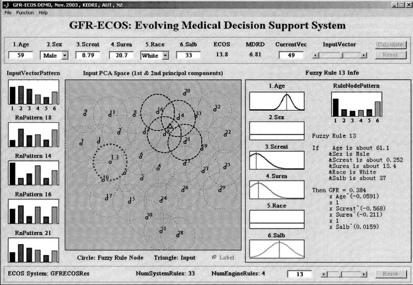 1952 Marshall et al: ECOS for predicting renal function Fig. 6. Illustration of one of the dynamic evolving neuro-fuzzy inference system (DENFIS) computer interfaces.